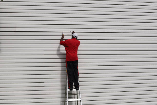 Best Custom Trim and Detailing for Siding  in New Lno, LA